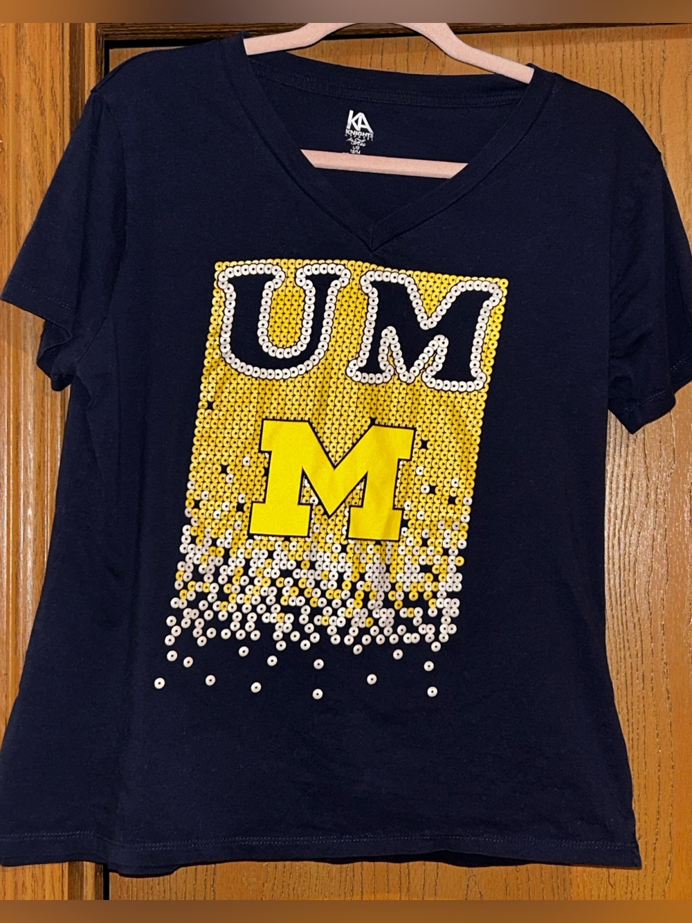 U of Michigan V-Neck Tee